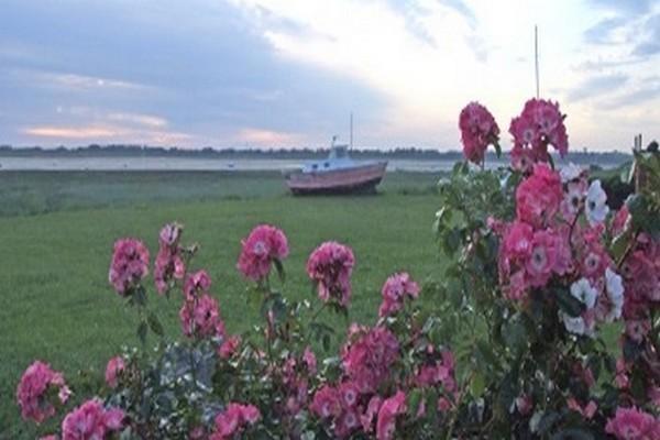 La Baie Hotel Regneville-sur-Mer Bagian luar foto
